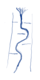 Race Background